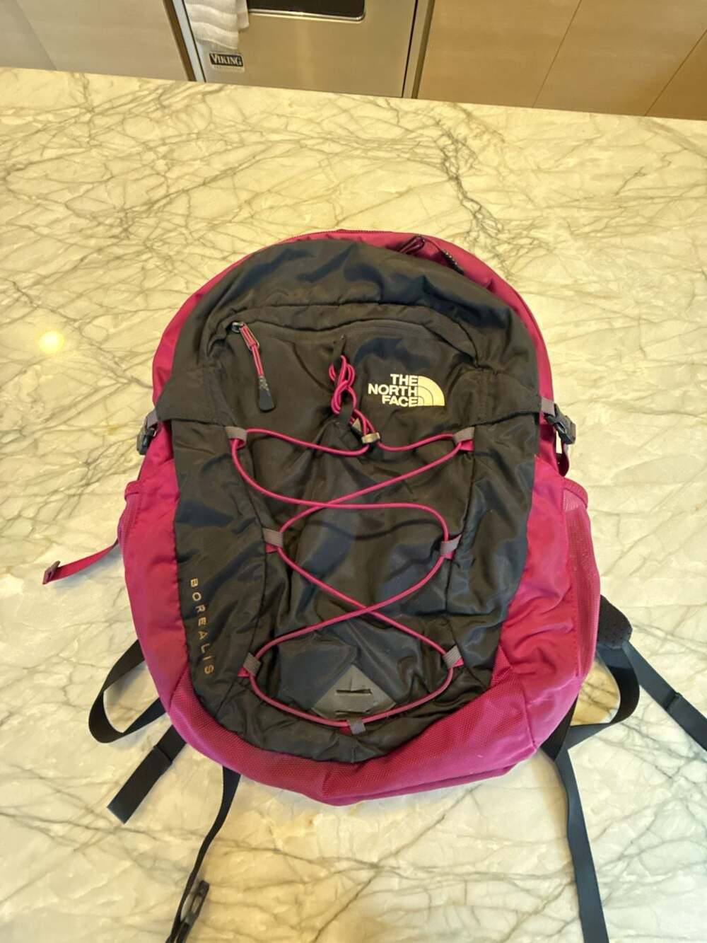 The North Face Borealis FlexVent Backpack Black and Pink